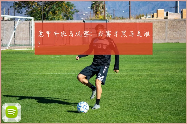 意甲升班马观察:新赛季黑马是谁?
