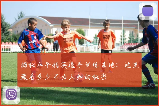 揭秘和平精英选手训练基地：这里藏着多少不为人知的秘密